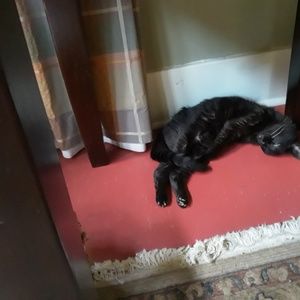 Meet your Posher, Windy